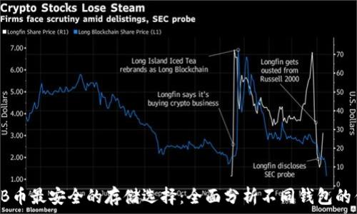   
SHIB币最安全的存储选择：全面分析不同钱包的优劣