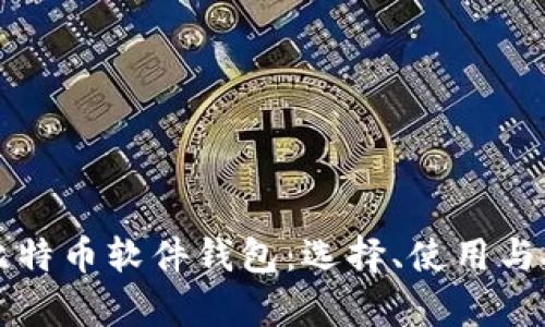 全面解析比特币软件钱包:选择、使用与安全性指南