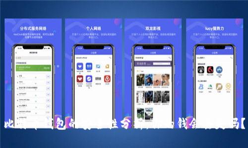 比特币钱包的安全性分析:你的钱会丢失吗?