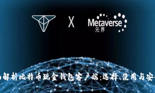全面解析比特币现金钱包客户端:选择、使用与安全性