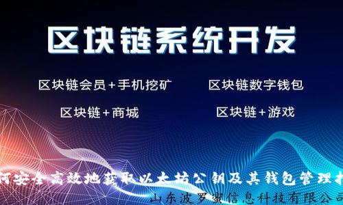 如何安全高效地获取以太坊公钥及其钱包管理指南
