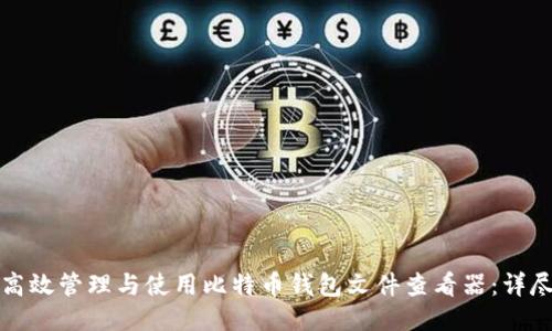 如何高效管理与使用比特币钱包文件查看器:详尽指南