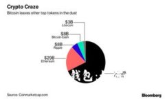 深度解析国内比特币钱包:如何选择与使用指南