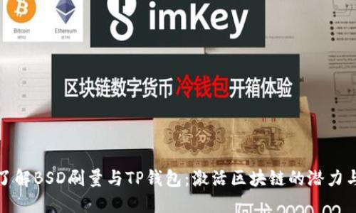 深入了解BSD刷量与TP钱包：激活区块链的潜力与风险