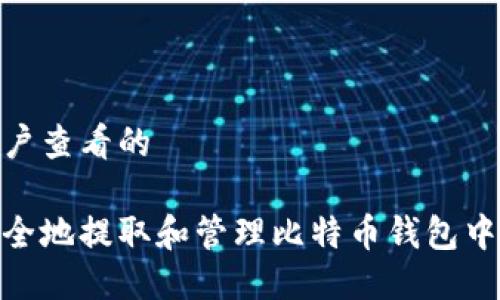 吸引用户查看的
如何安全地提取和管理比特币钱包中的资金
