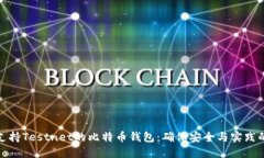 深入探索支持Testnet的比特币钱包：确保安全与实