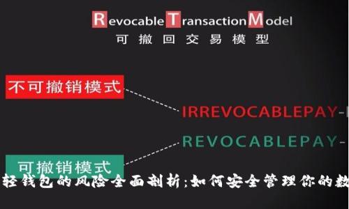 比特币轻钱包的风险全面剖析：如何安全管理你的数字资产