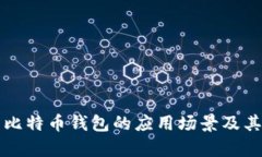 深入解析比特币钱包的应用场景及其未来发展