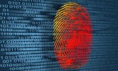 揭秘比特币支付：如何选择合适的钱包？
