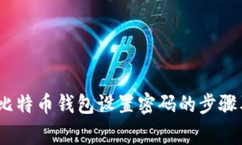 全面解析：比特币钱包设置密码的步骤及注意事项