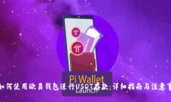 : 如何使用欧易钱包进行USDT存款：详细指南与注