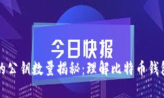 比特币钱包中的公钥数量揭秘：理解比特币钱包
