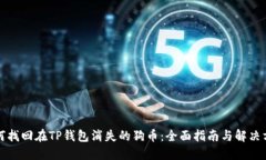 如何找回在TP钱包消失的狗币：全面指南与解决方