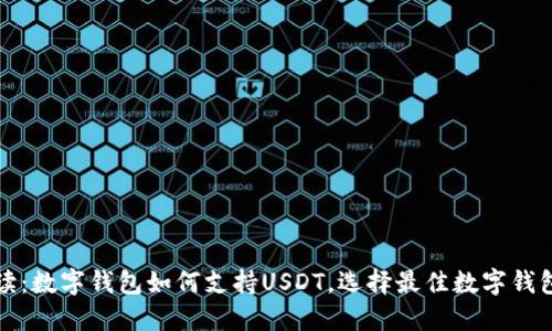 全面解读：数字钱包如何支持USDT，选择最佳数字钱包的指南