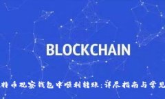 如何在比特币观察钱包中顺利转账：详尽指南与