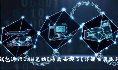 如何使用TP钱包进行BXH兑换？币款去哪了？详解交易流程及注意事项