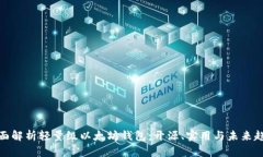 全面解析轻量级以太坊钱包：开源、实用与未来