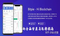 比特币钱包的全面分类与选择指南