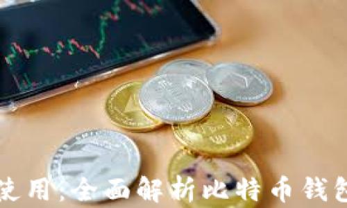 
安全存储与便捷使用：全面解析比特币钱包安卓版下载官网