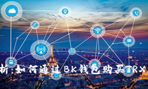  全面解析：如何通过BK钱包购买TRX（波场币）
