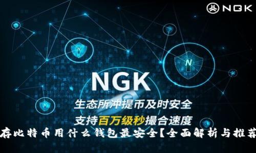 存比特币用什么钱包最安全？全面解析与推荐