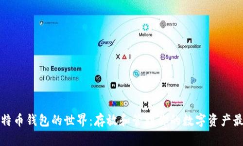 探索比特币钱包的世界：存放和管理你的数字资产最佳实践