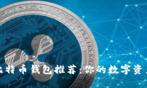 秒速到账的比特币钱包推荐：你的数字资产安全新选择