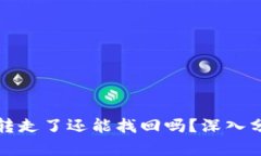 TP钱包资产被转走了还能找回吗？深入分析与解决