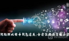 如何处理比特币钱包遗失：全方位指南与解决方