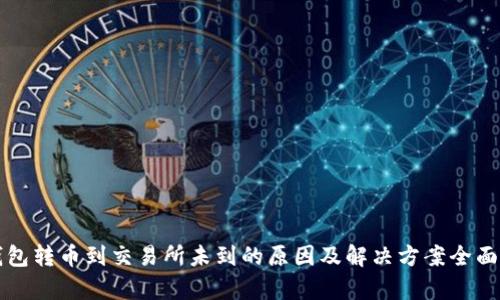 TP钱包转币到交易所未到的原因及解决方案全面解析