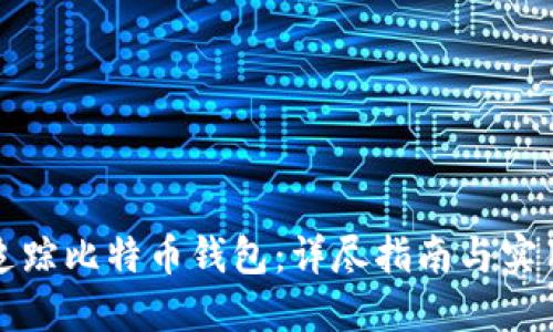 如何追踪比特币钱包：详尽指南与实用技巧