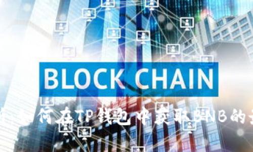 全面解析：如何在TP钱包中获取BNB的最佳方法