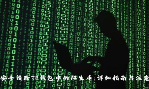 如何安全清除TP钱包中的陌生币：详细指南与注意事项