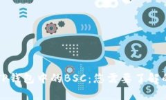 深入解读TP钱包中的BSC：您需要了解的所有信息