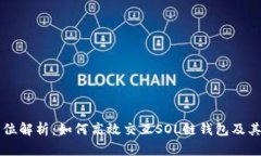 全方位解析：如何高效交互SOL链钱包及其应用