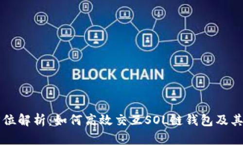 全方位解析：如何高效交互SOL链钱包及其应用