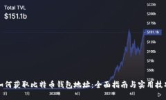 如何获取比特币钱包地址：全面指南与实用技巧