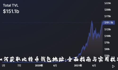 如何获取比特币钱包地址：全面指南与实用技巧