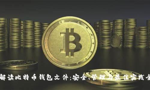 深入解读比特币钱包文件：安全、管理与最佳实践全解析