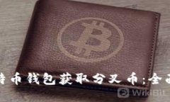 如何通过比特币钱包获取分叉币：全面指南与策